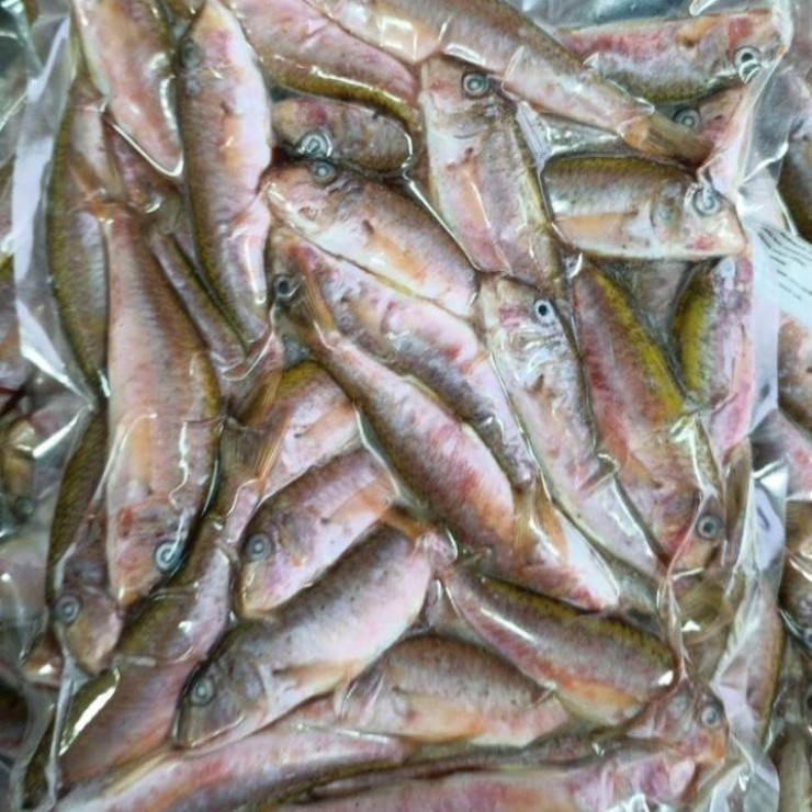 Барабулька