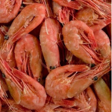 Креветки (Мурманск) 90+ (цена за 1 кг)