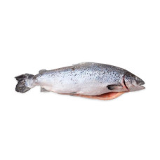 Лосось Чили PREMIUM 5-6 кг (цена за 1 кг)