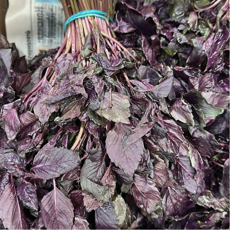 Базилик красный (заказ от 1 кг, пуч +- 0,25 кг)