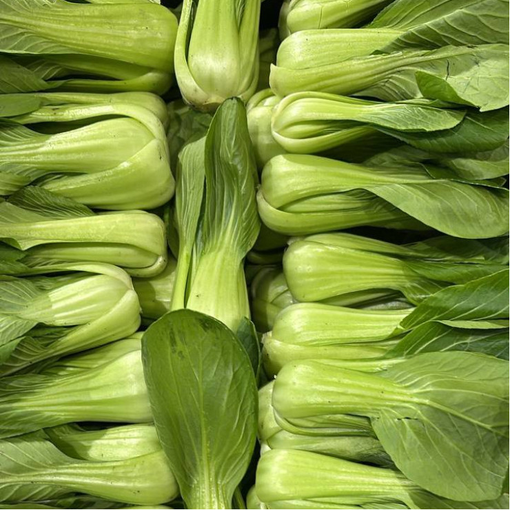 Бок Чой (цена за 1 кг, заказ поштучно)