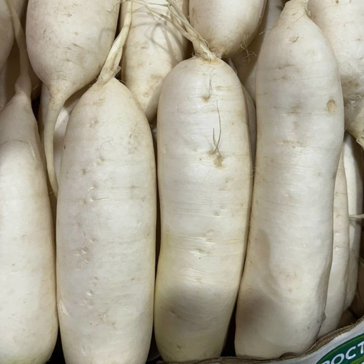 Дайкон (цена за 1 кг, заказ от 0,5 кг)
