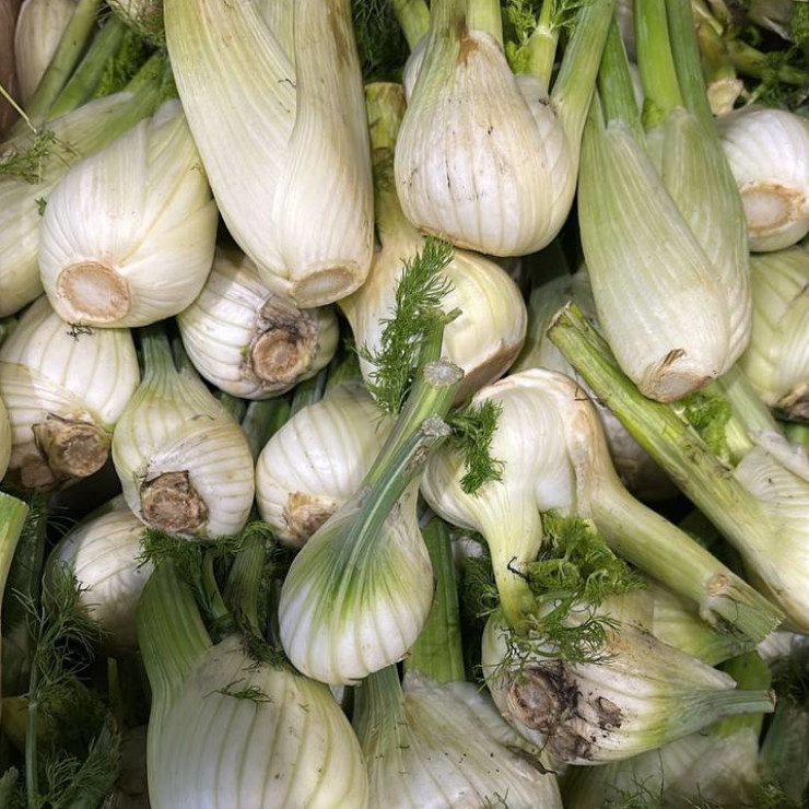 Фенхель (цена за 1 кг, заказ от 0,5 кг)