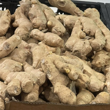 Имбирь (цена за 1 кг, заказ от 0,3 кг) Имбирь (цена за 1 кг, заказ от 0,3 кг)