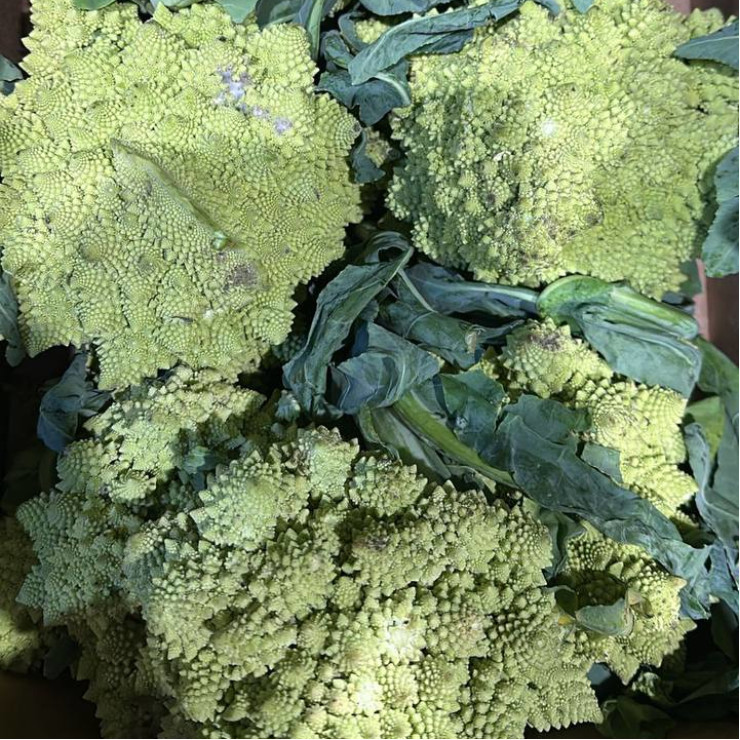 Капуста Романеско (цена за 1 кг, заказ от 1 кг)