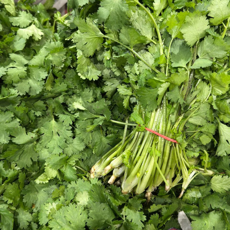 Кинза (цена за 1 кг, пуч +- 0,2 кг)