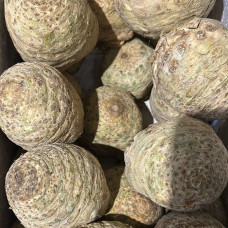 Корень сельдерея (цена за 1 кг, заказ от 0,3 кг) Корень сельдерея (цена за 1 кг, заказ от 0,3 кг)