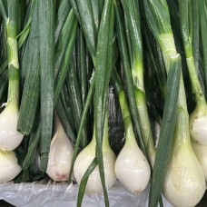 Лук головка (цена за 1 кг, заказ от 0,5 кг) Лук головка (цена за 1 кг, заказ от 0,5 кг)