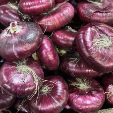 Лук Ялта (цена за 1 кг, заказ от 0,5 кг)