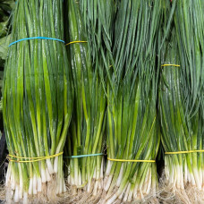 Лук зелёный (цена за 1 кг, пуч +- 0,3 кг) Лук зелёный (цена за 1 кг, пуч +- 0,3 кг)