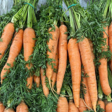 Морковь пучок (заказ поштучно)