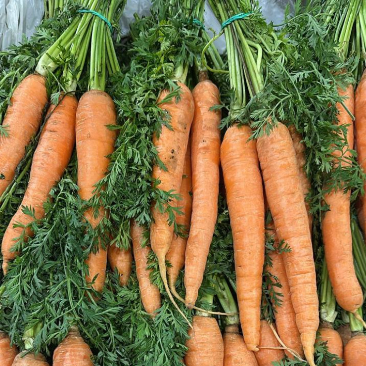 Морковь пучок (заказ поштучно)