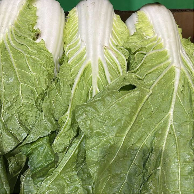 Пекинская капуста (цена за 1 кг, заказ поштучно)