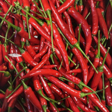 Перец острый Чили маленький (цена за 1 кг, заказ от 0,3 кг)