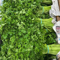 Петрушка кудрявая (цена за 1 кг, пуч +- 0,25 кг)