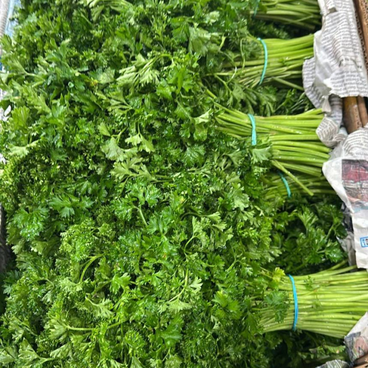 Петрушка кудрявая (цена за 1 кг, пуч +- 0,25 кг)