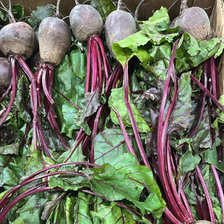 Свекла молодая (цена за 1 кг, заказ от 0,5 кг)