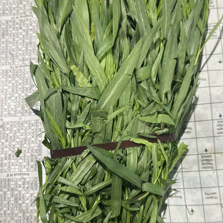 Тархун (цена за 1 шт, пуч +- 0,1 кг)