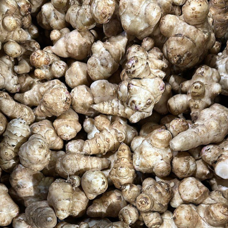 Топинамбур (цена за 1 кг, заказ от 0,5 кг)
