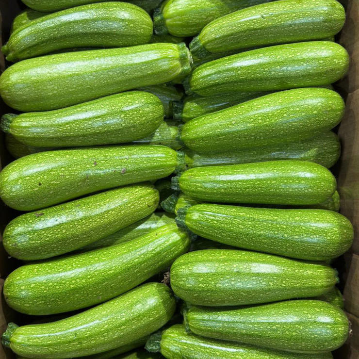 Кабачки (цена за 1 кг, заказ от 0,5 кг)
