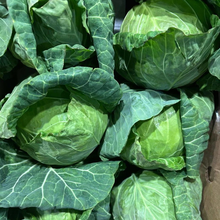 Капуста молодая (цена за 1 кг, заказ поштучно)