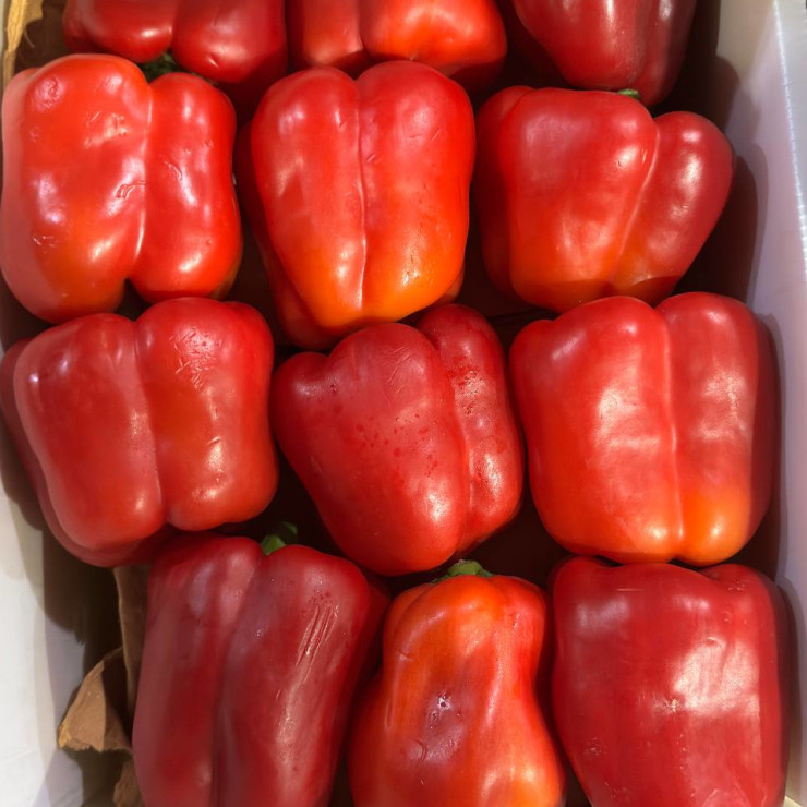 Перец красный болгарский (цена за 1 кг)