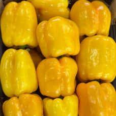 Перец желтый болгарский (цена за 1 кг)