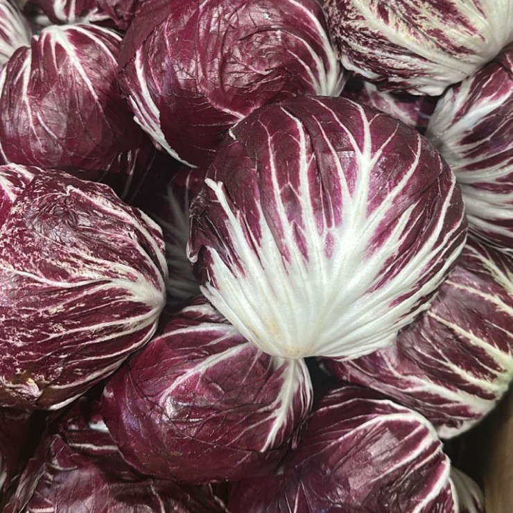 Радичио (цена за 1 кг, заказ поштучно)