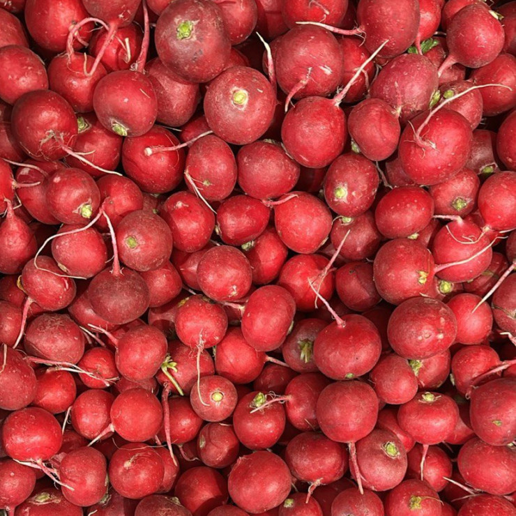 Редис (цена за 1 кг)