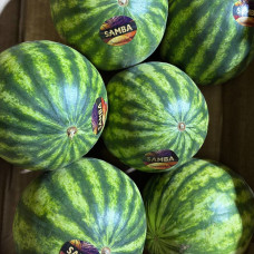 Арбуз мини (1 шт) Арбуз мини (1 шт)