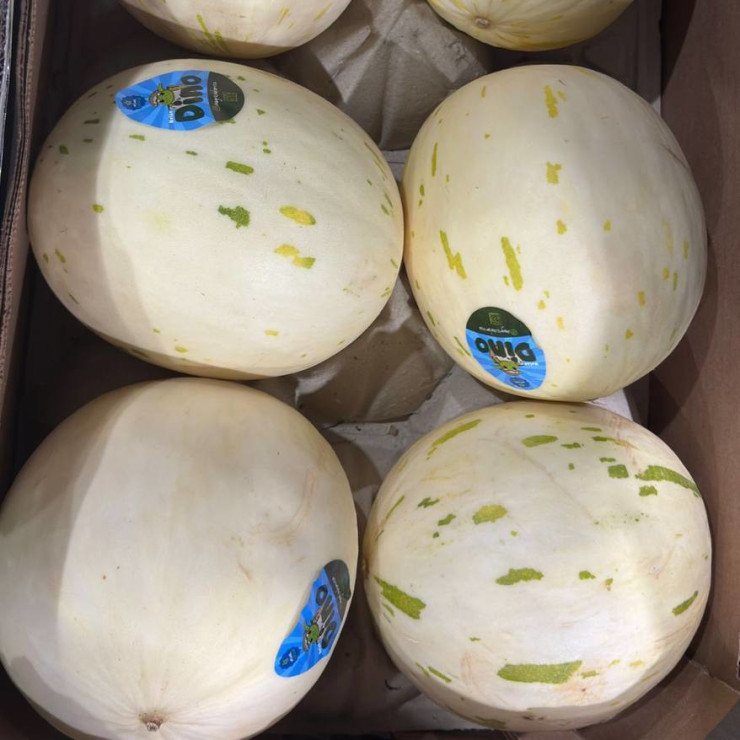 Дыня молочная (1 шт) Дыня молочная (1 шт)
