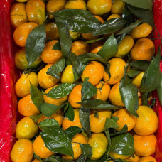 Мандарины бейби (1 кг) Мандарины бейби (1 кг)