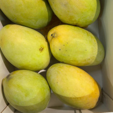 Манго Египет желтое (цена за 1 кг, заказ поштучно) Манго Египет желтое (цена за 1 кг, заказ поштучно)