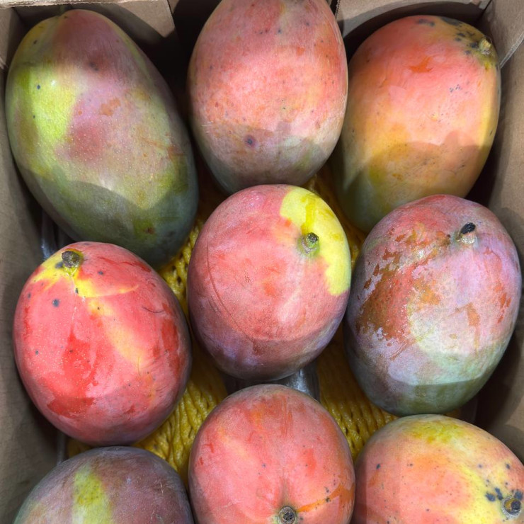 Манго Тайланд (цена за 1 кг, заказ поштучно)