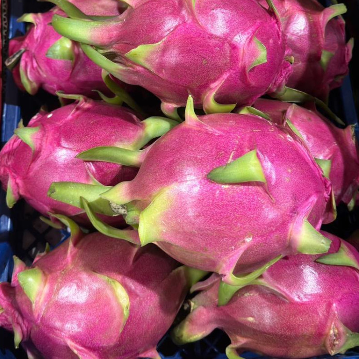 Питахайя белая (зена за 1 кг, заказ поштучно)