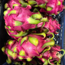 Питахайя красная (цена за 1 кг, заказ поштучно) Питахайя красная (цена за 1 кг, заказ поштучно)