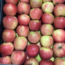 Яблоки Медовый хруст (цена за 1 кг) Яблоки Медовый хруст (цена за 1 кг)