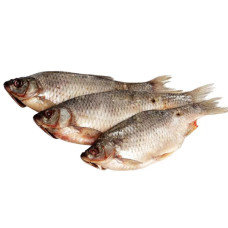 Краснопёрка