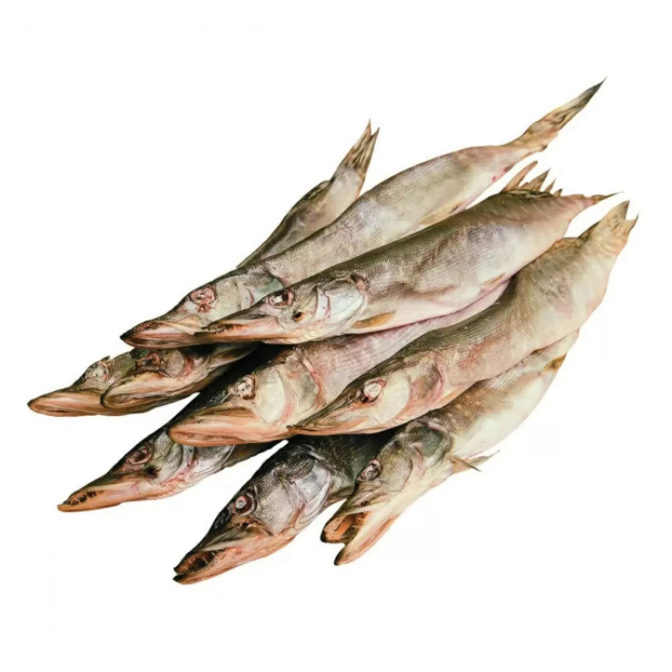 Щука вяленая мелкая (цена за 1 кг, заказ поштучно)