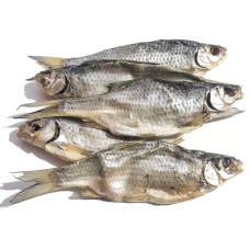 Вобла отборная