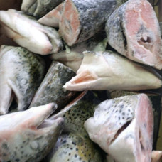 Головы семги (цена за 1 кг) Головы семги (цена за 1 кг)