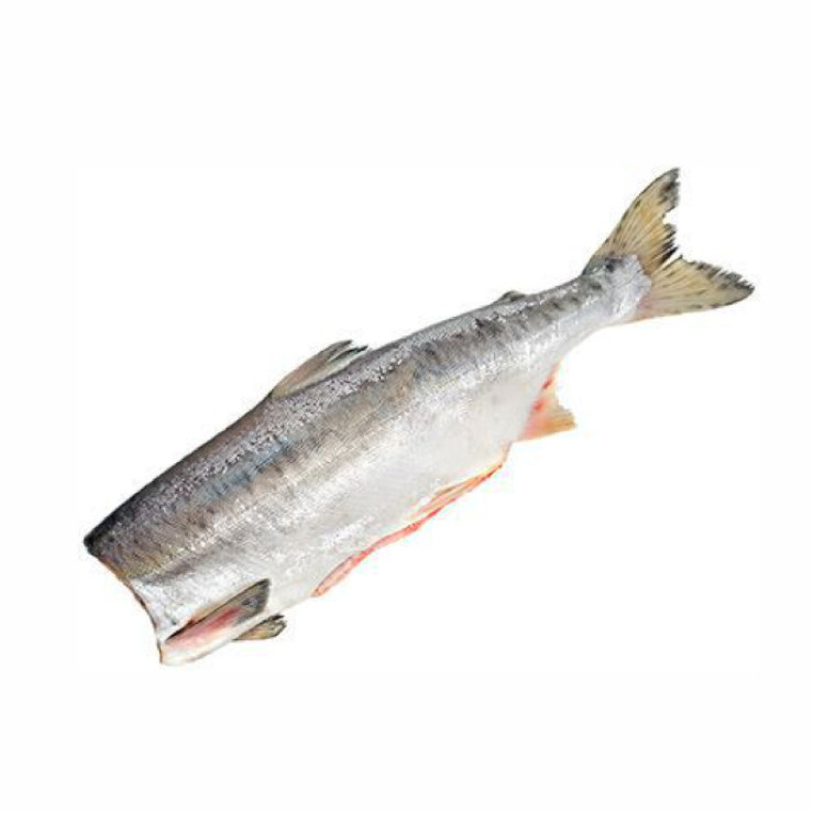 Горбуша б/г потрошенная (цена за 1 кг, заказ поштучно) Горбуша б/г потрошенная (цена за 1 кг, заказ поштучно)