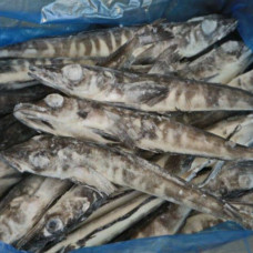 Ледяная рыба (цена за 1 кг, вес 1 рыбки 250 гр+)